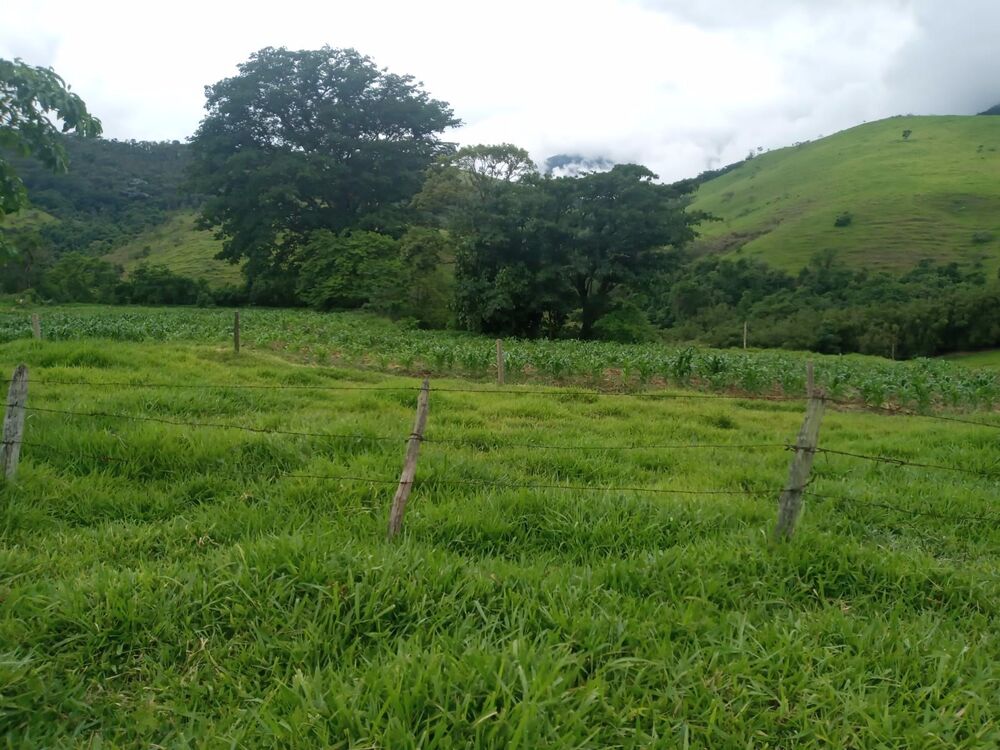 Fazenda, 600 m² - Foto 1
