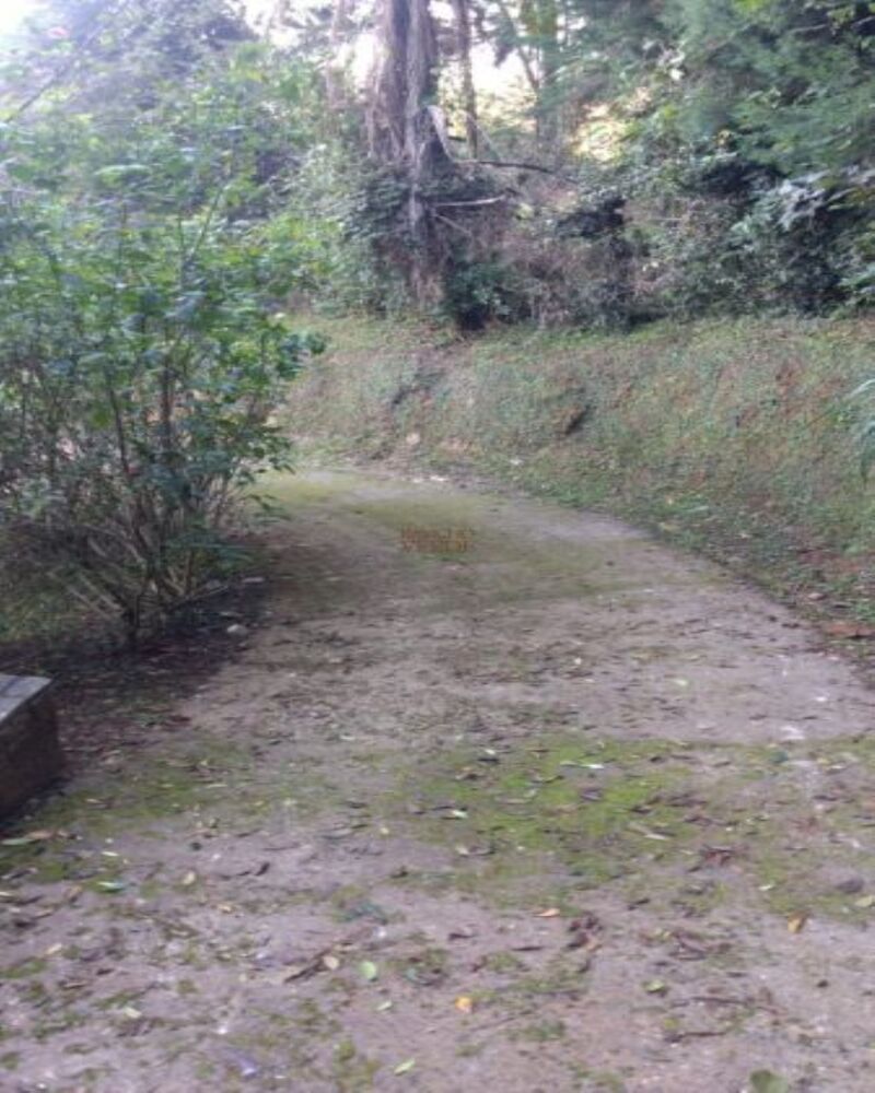 Chácara à venda com 3 quartos, 30000m² - Foto 3
