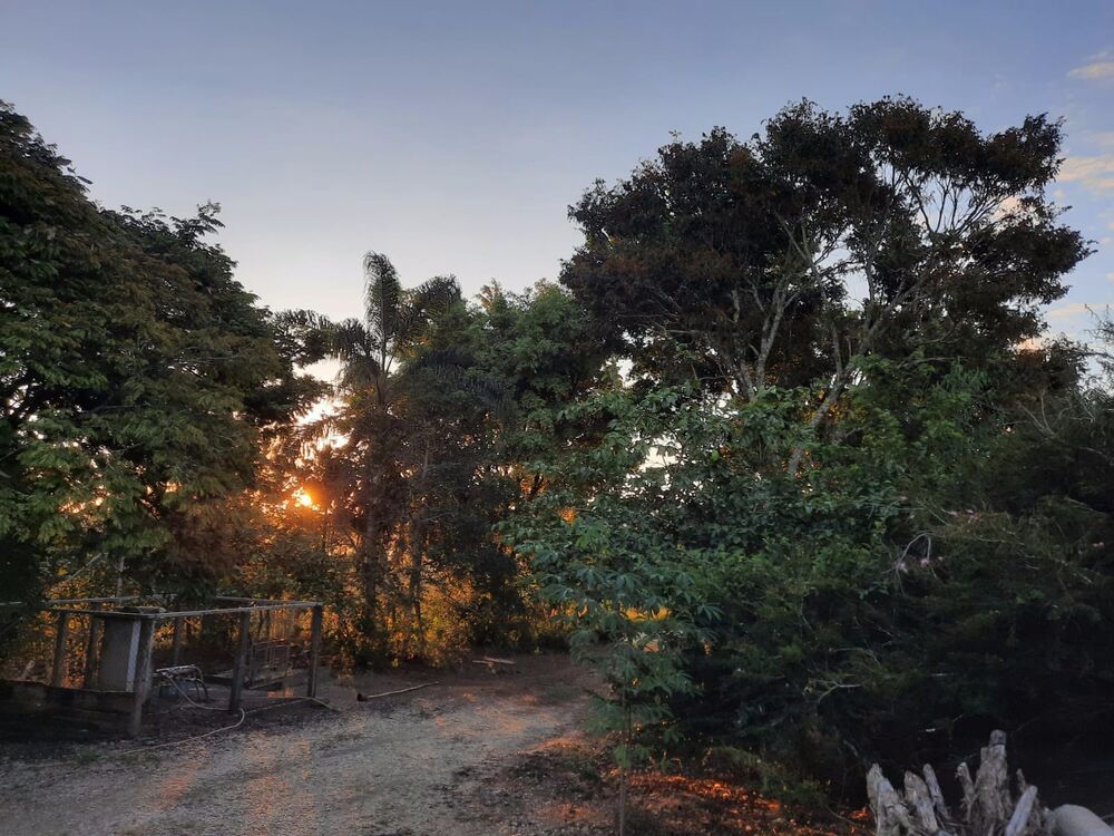 Chácara, 2 quartos, 2 hectares - Foto 4