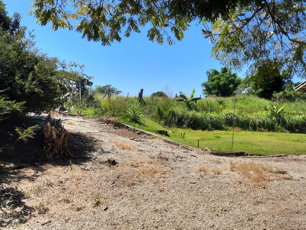 Chácara, 2 quartos, 2 hectares - Foto 10