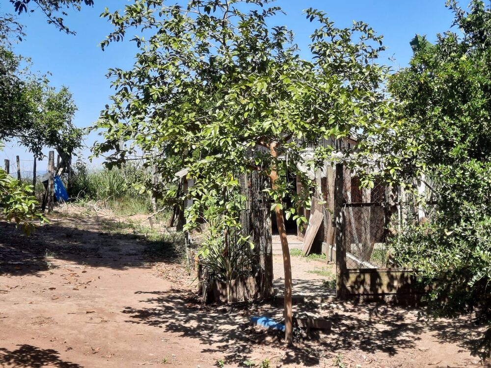 Chácara, 2 quartos, 2 hectares - Foto 2