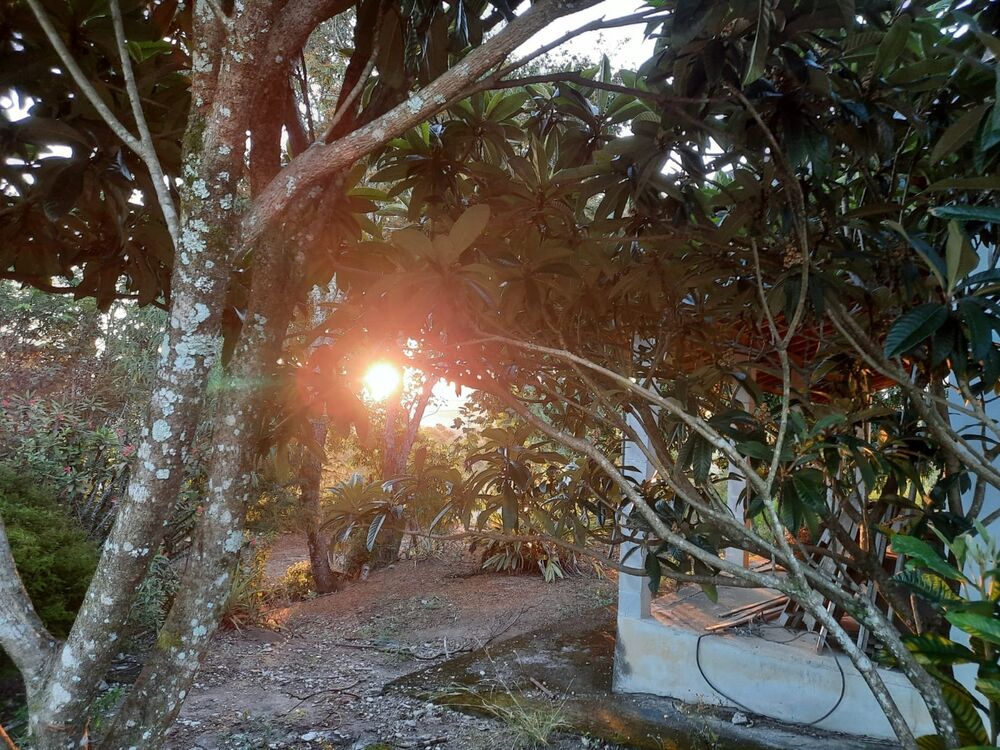 Chácara, 2 quartos, 2 hectares - Foto 9