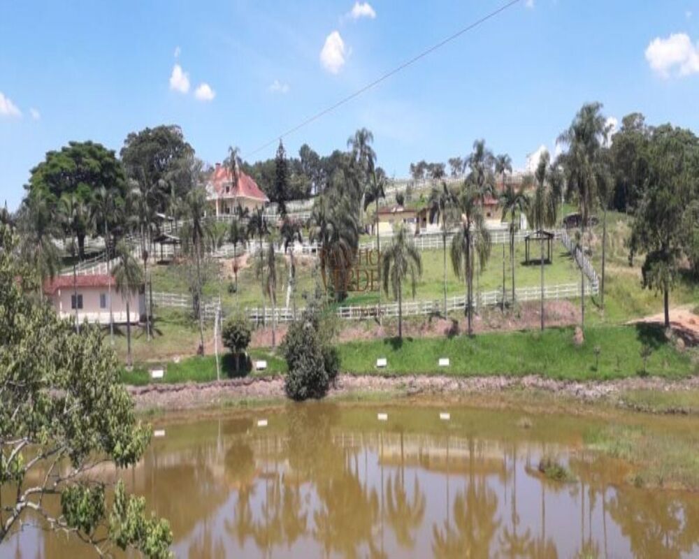 Fazenda, 28 hectares - Foto 10