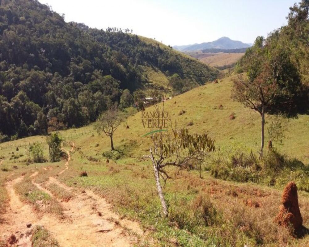 Fazenda à venda com 3 quartos, 202m² - Foto 4