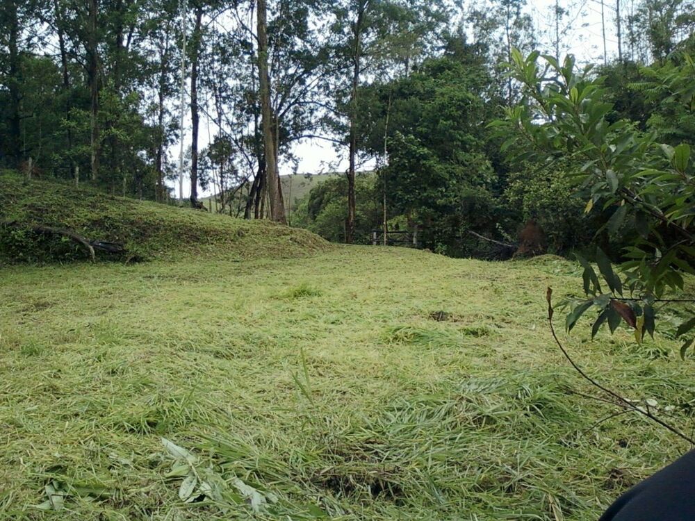 Sítio, 3 quartos, 2 hectares - Foto 3