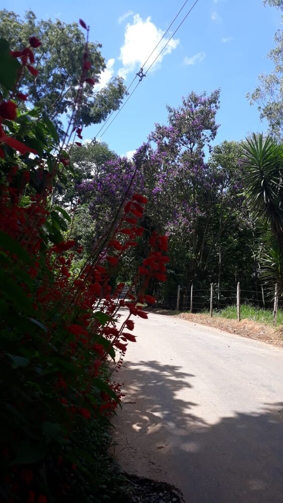 Sítio, 3 quartos, 2 hectares - Foto 7