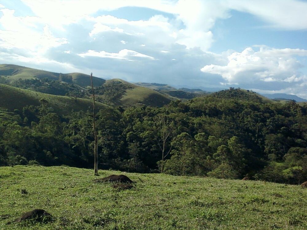 Sítio, 3 quartos, 2 hectares - Foto 4