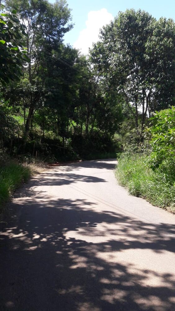 Sítio, 3 quartos, 2 hectares - Foto 5