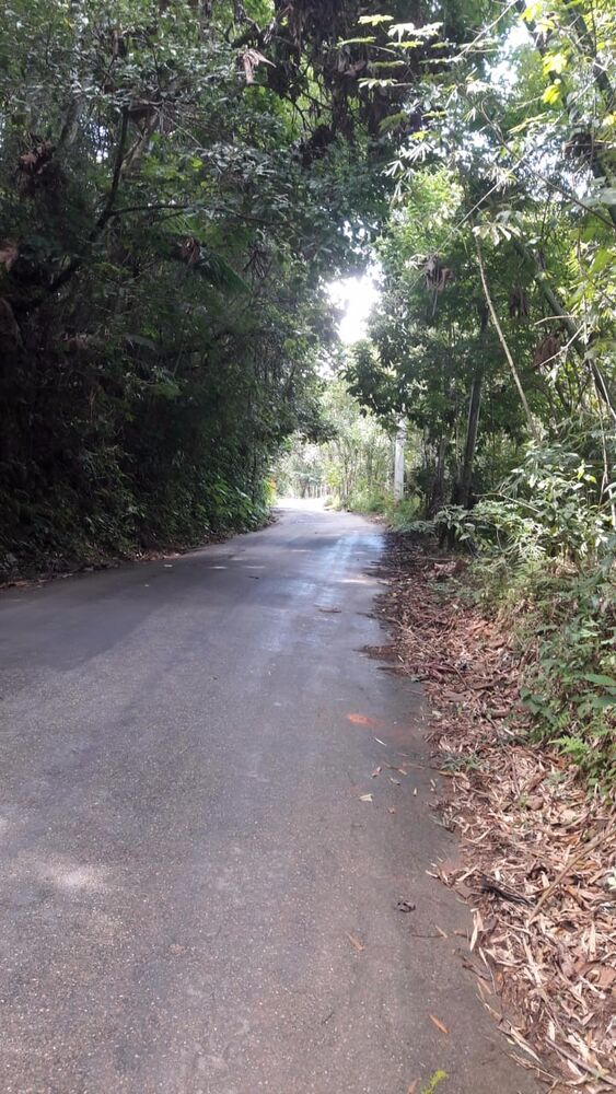 Sítio, 3 quartos, 2 hectares - Foto 8