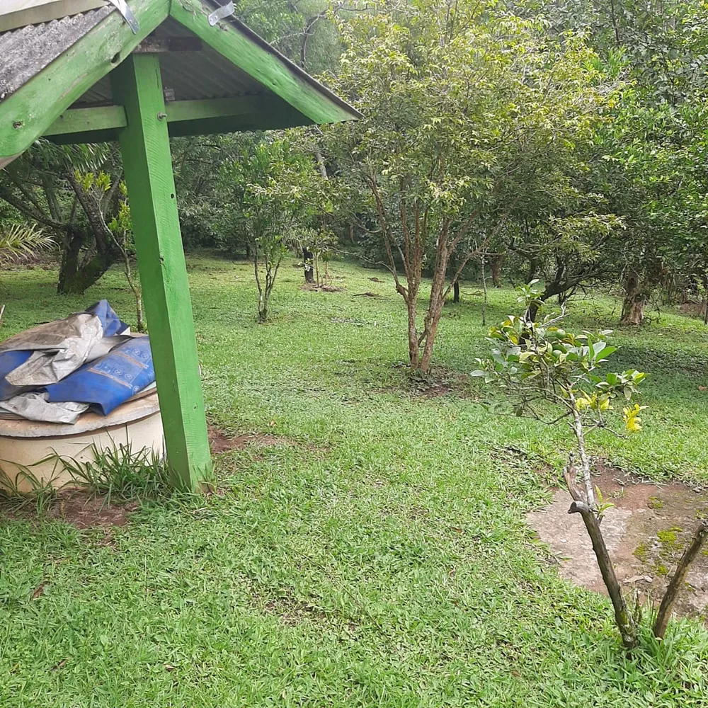 Fazenda à venda com 3 quartos, 5000m² - Foto 3