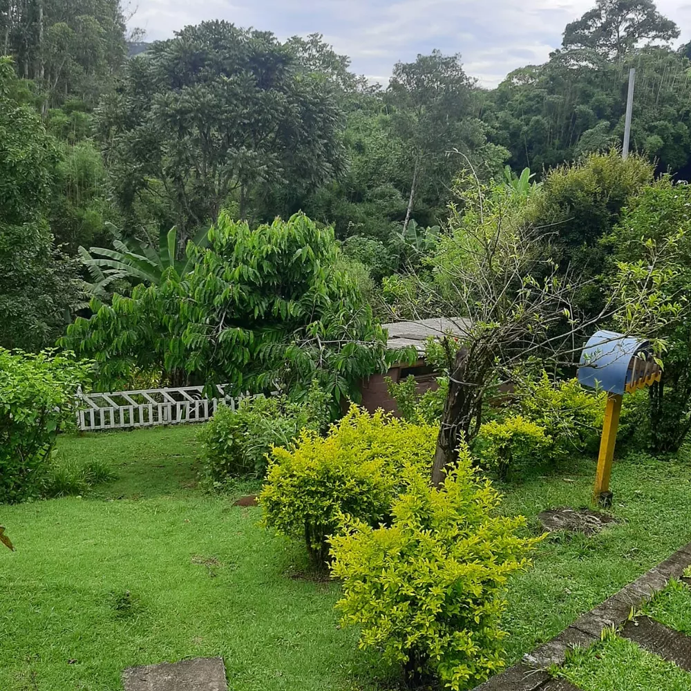 Fazenda à venda com 3 quartos, 5000m² - Foto 4