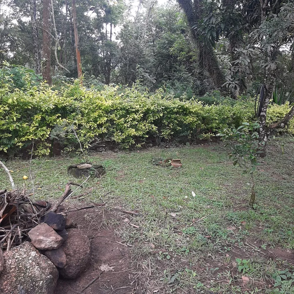 Fazenda à venda com 3 quartos, 5000m² - Foto 5