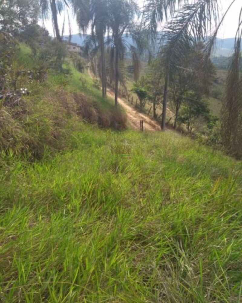 Terreno, 1600 m² - Foto 4