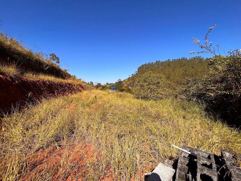 Chácara, 1 quarto, 5000 m² - Foto 4