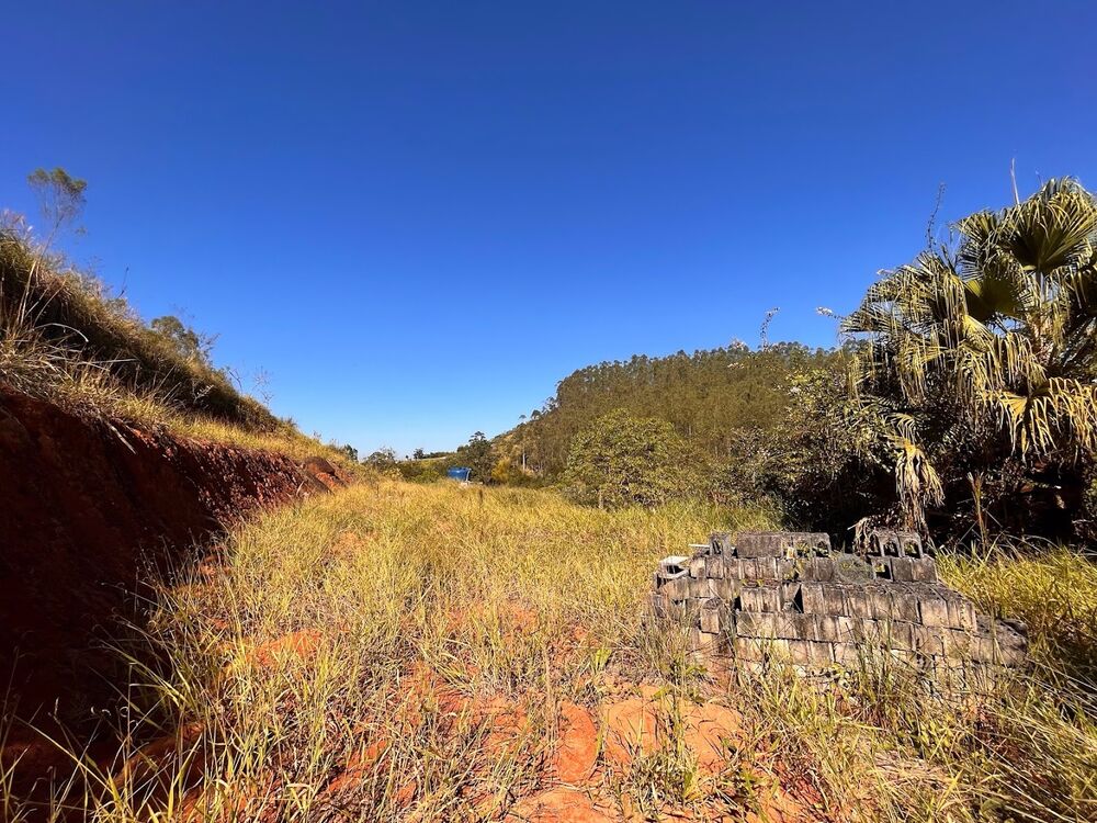 Chácara, 1 quarto, 5000 m² - Foto 3