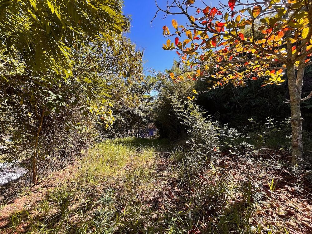 Chácara, 1 quarto, 5000 m² - Foto 9