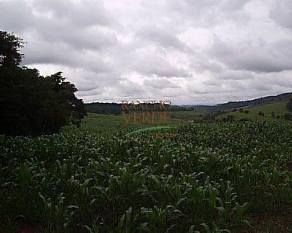 Fazenda, 344 hectares - Foto 13