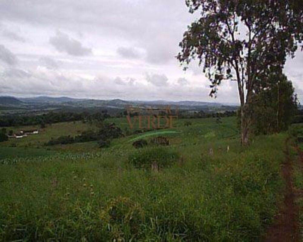 Fazenda, 344 hectares - Foto 14