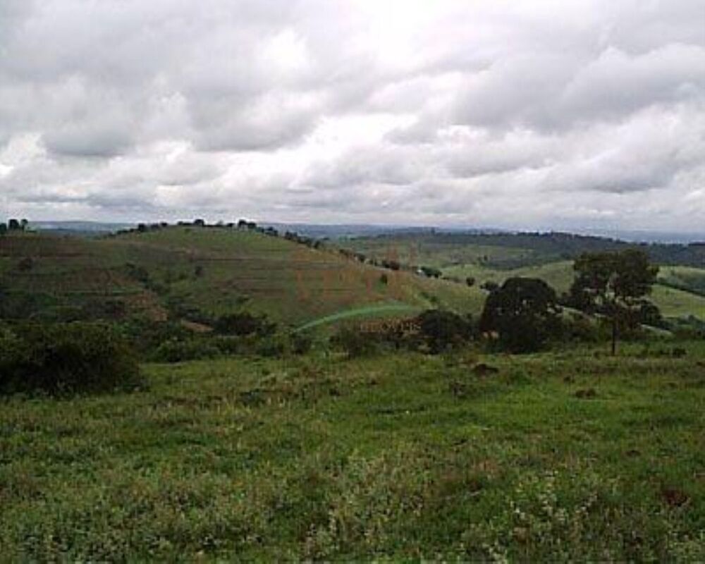 Fazenda, 344 hectares - Foto 16