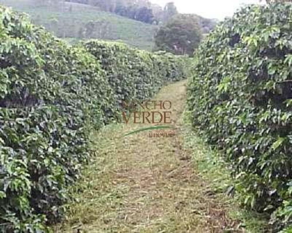 Fazenda, 344 hectares - Foto 18