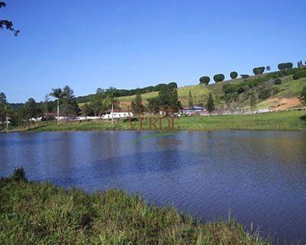 Fazenda, 344 hectares - Foto 4