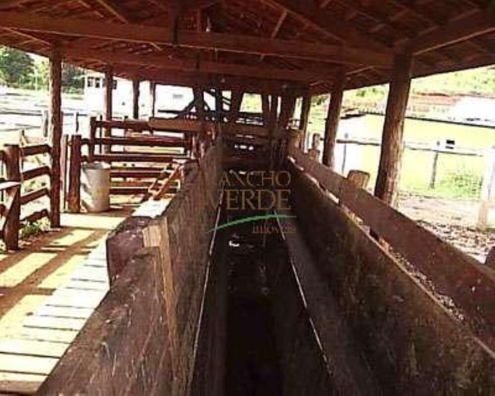 Fazenda, 344 hectares - Foto 9