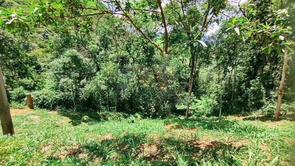 Fazenda, 3 hectares - Foto 18