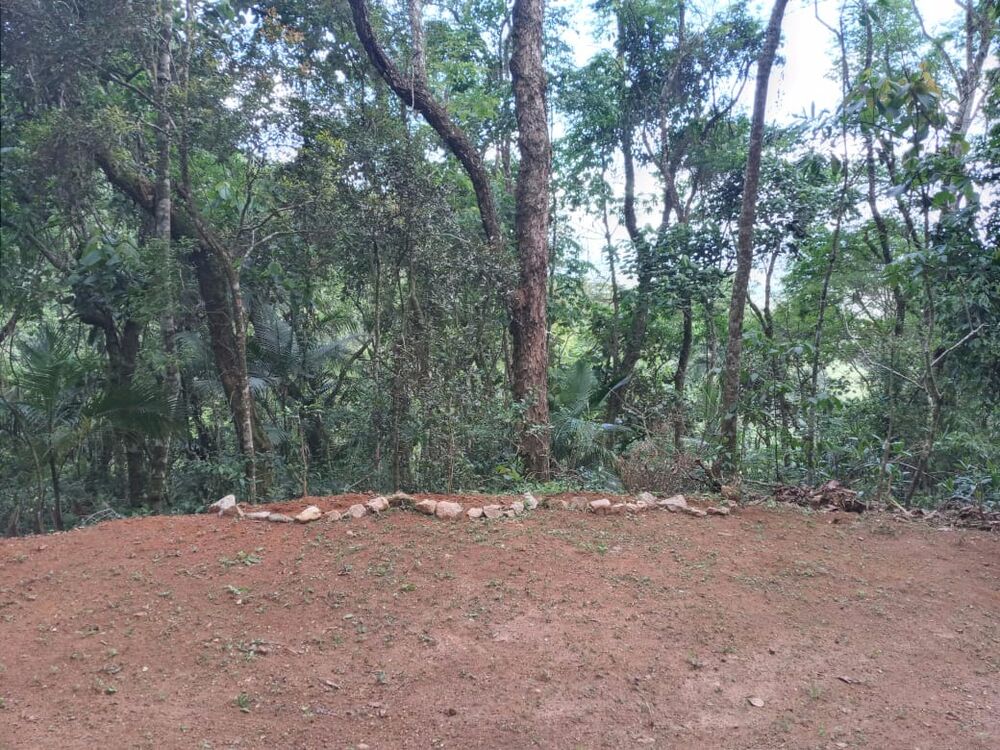 Fazenda, 3 hectares - Foto 7