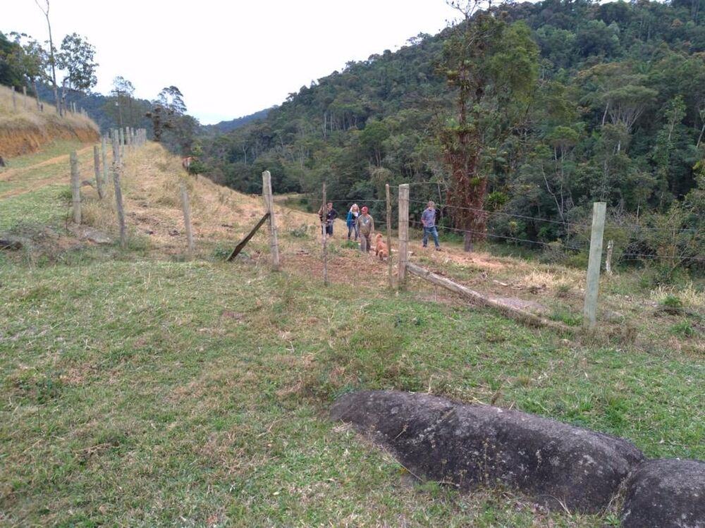 Sítio à venda com 2 quartos, 14m² - Foto 3