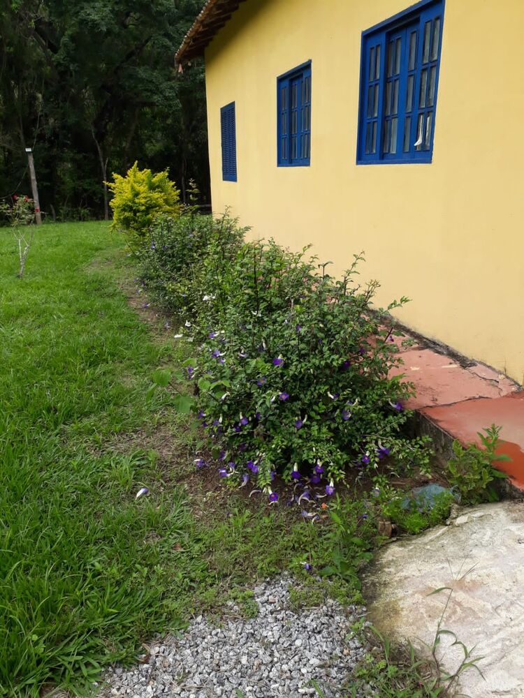 Fazenda à venda, 25m² - Foto 10