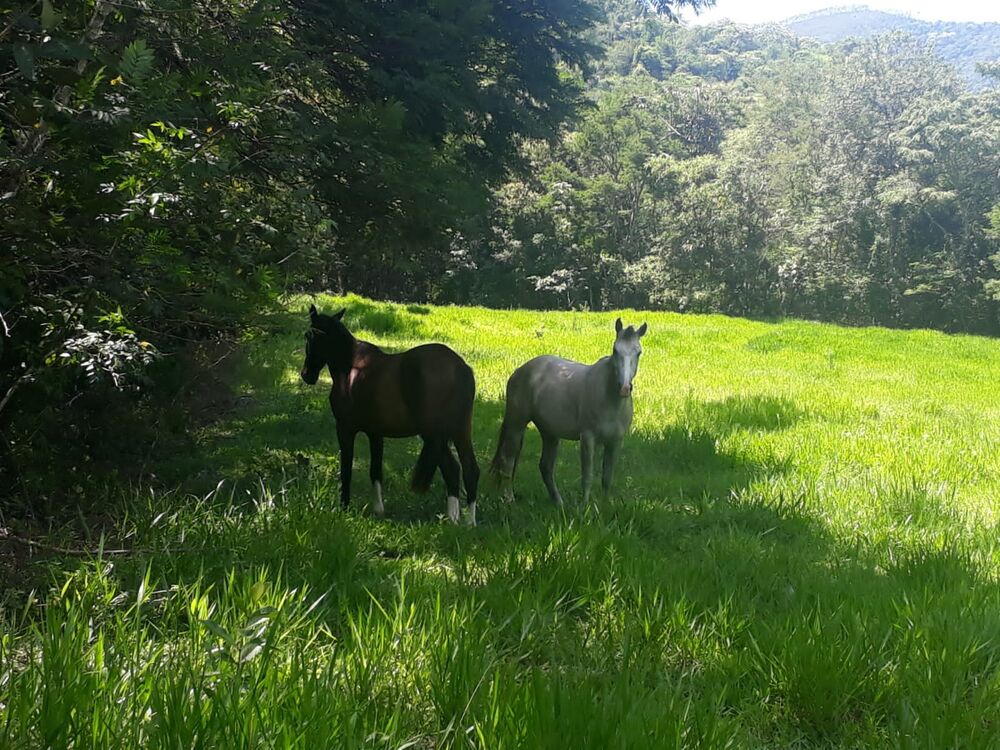 Fazenda à venda, 25m² - Foto 2