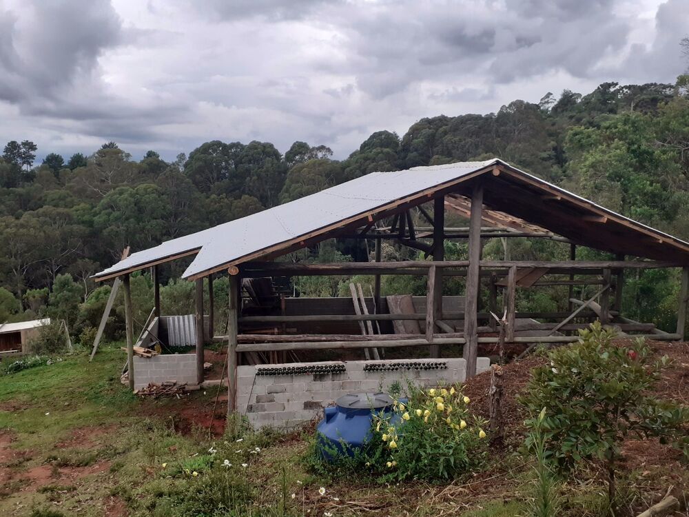 Sítio, 2 hectares - Foto 3