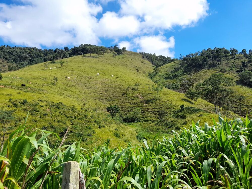 Haras e Área Rural Padrão à venda, 4m² - Foto 7