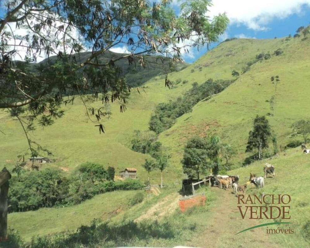 Fazenda à venda com 2 quartos, 7042200m² - Foto 6