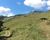 Fazenda, 704 hectares - Foto 4