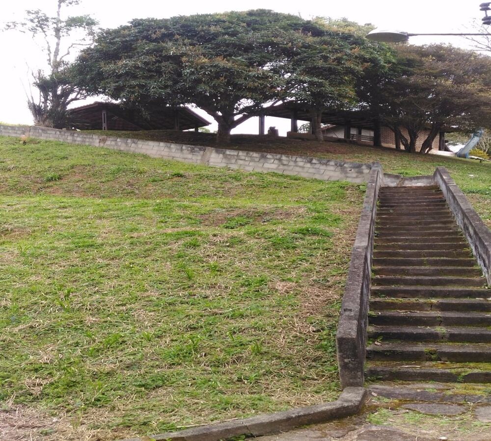 Sítio à venda com 3 quartos, 20m² - Foto 1