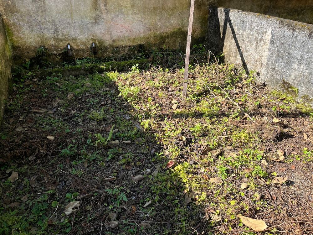 Sítio à venda com 3 quartos, 20m² - Foto 16