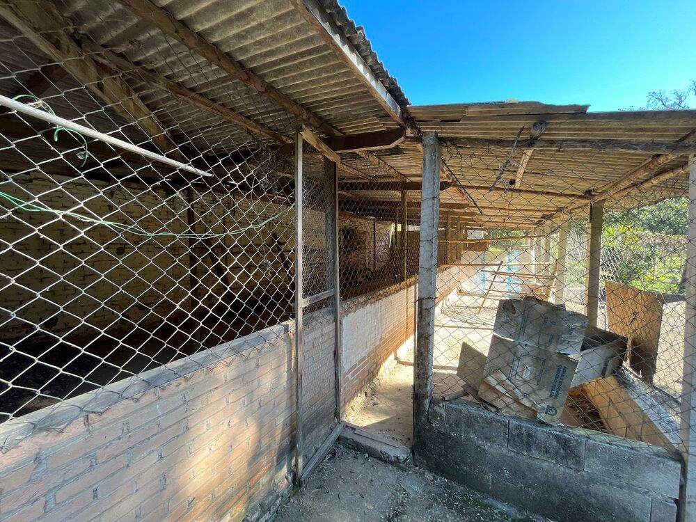 Sítio à venda com 3 quartos, 20m² - Foto 31