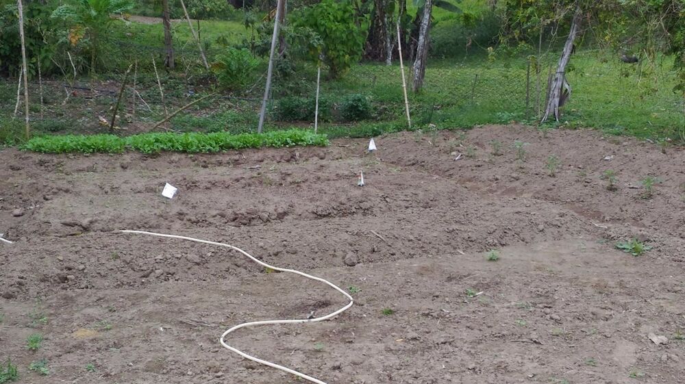 Sítio à venda com 3 quartos, 20m² - Foto 6