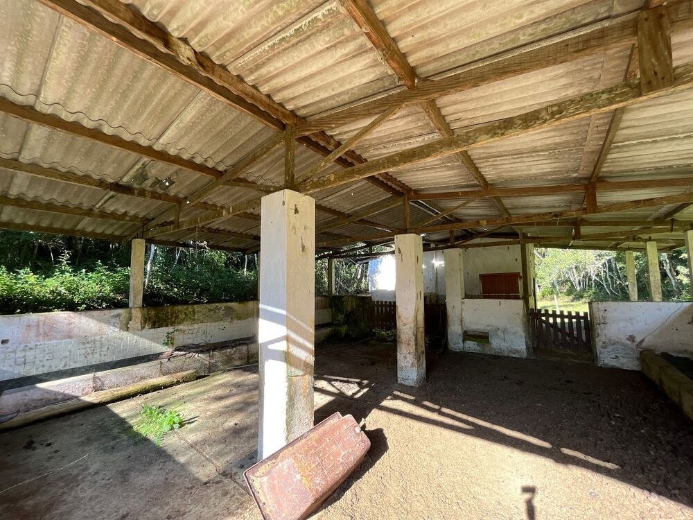 Sítio à venda com 3 quartos, 20m² - Foto 14