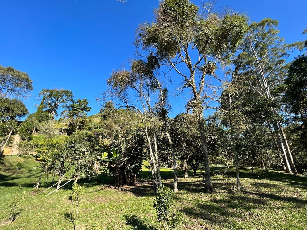 Sítio à venda com 3 quartos, 20m² - Foto 20