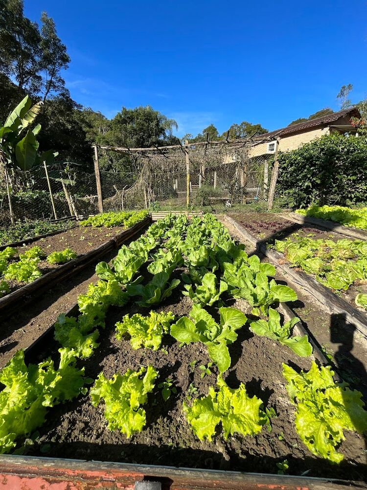 Sítio à venda com 3 quartos, 20m² - Foto 25