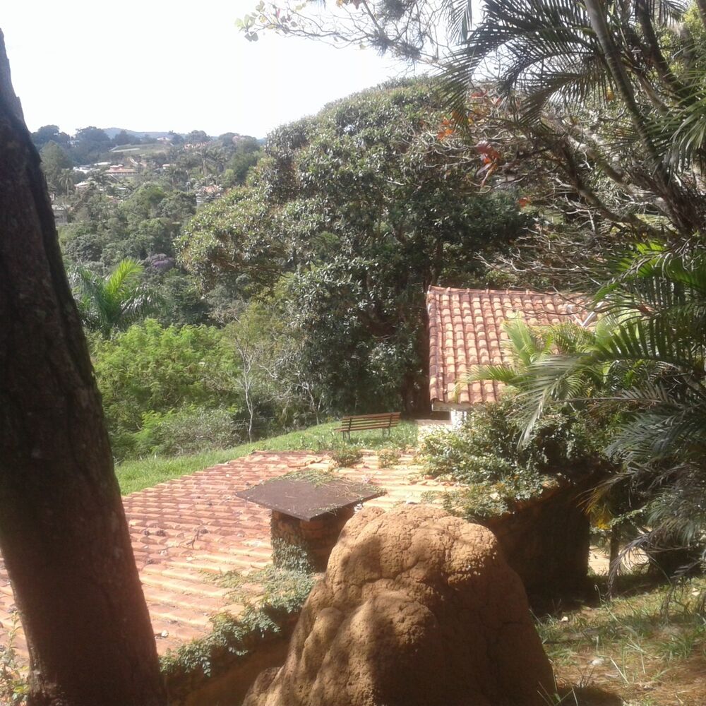 Fazenda à venda, 2100m² - Foto 8