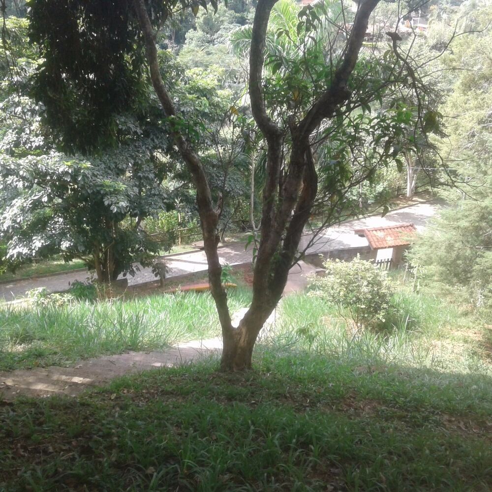 Fazenda à venda, 2100m² - Foto 5