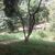 Fazenda-Sítio-Chácara, 2100 m² - Foto 5