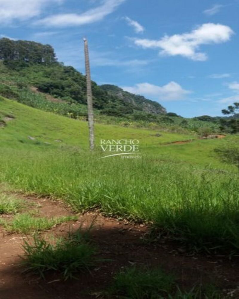 Fazenda-Sítio-Chácara, 2 hectares - Foto 18