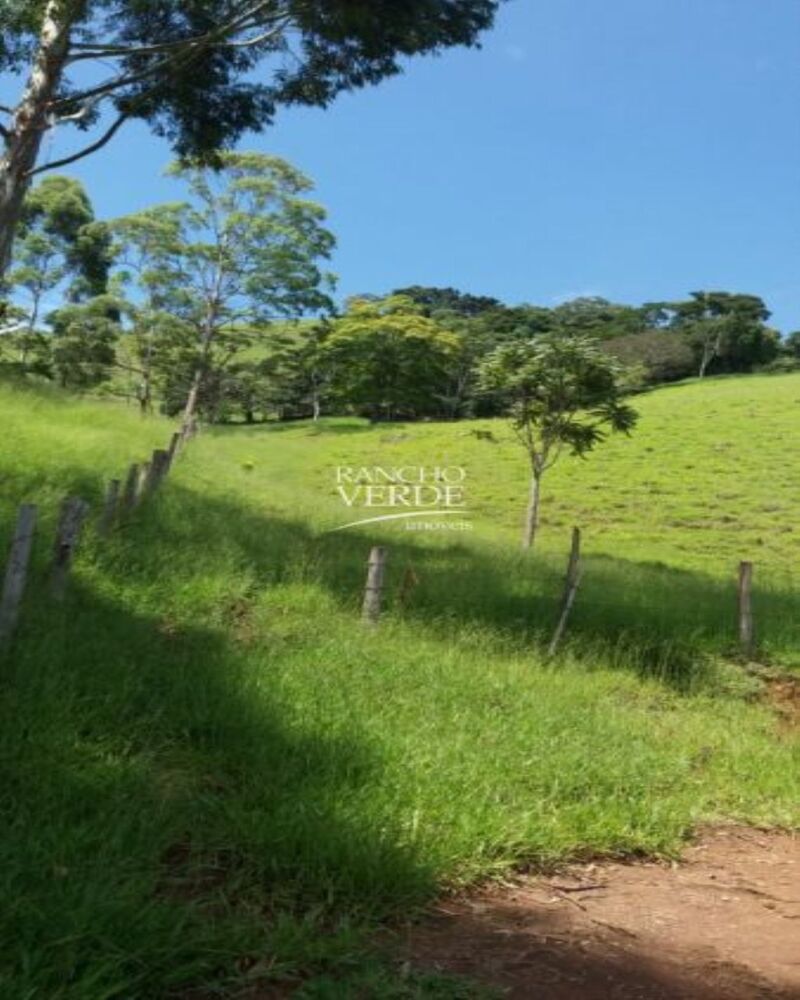 Fazenda-Sítio-Chácara, 2 hectares - Foto 2