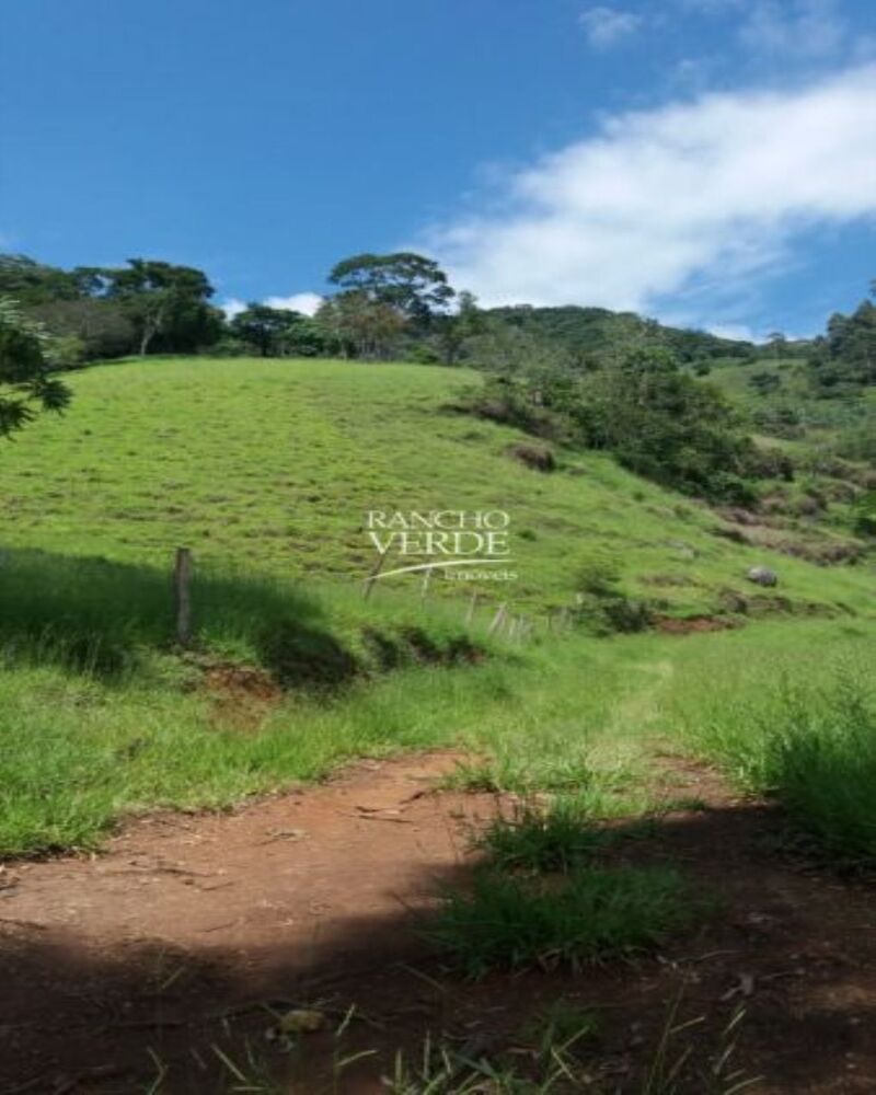 Fazenda-Sítio-Chácara, 2 hectares - Foto 4