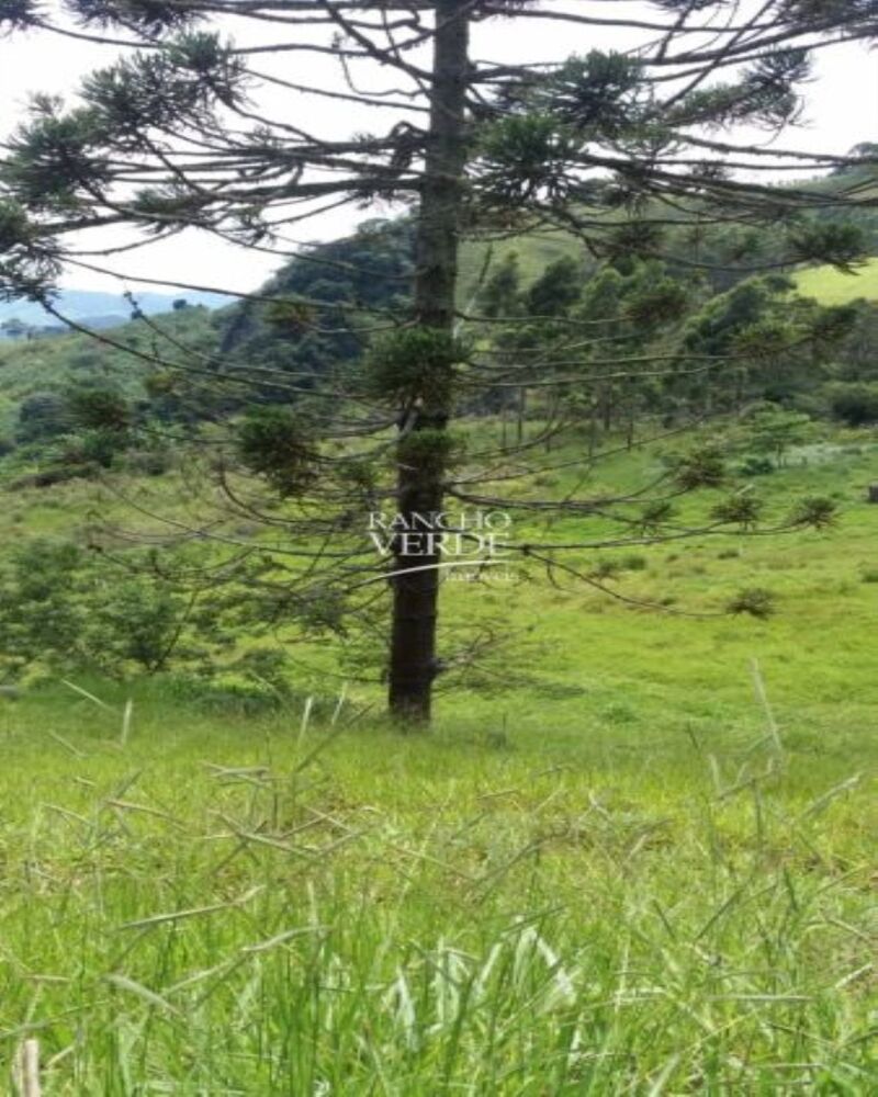 Fazenda-Sítio-Chácara, 2 hectares - Foto 12