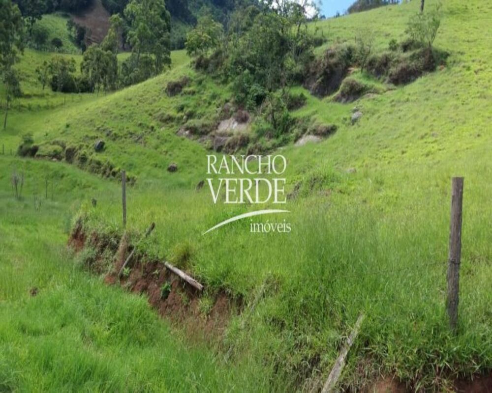 Fazenda-Sítio-Chácara, 2 hectares - Foto 3